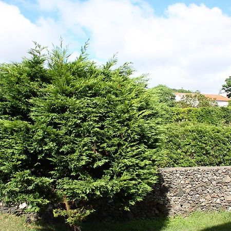 Apartamento Mar E Serra Ponta Delgada Dış mekan fotoğraf