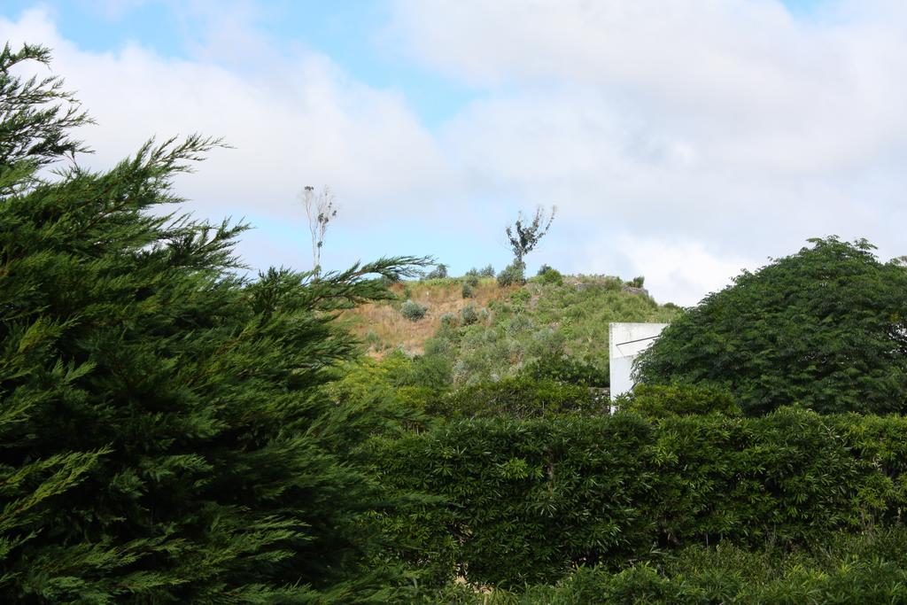 Apartamento Mar E Serra Ponta Delgada Dış mekan fotoğraf